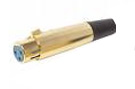 female XLR cable mount gold