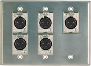 5 xlr wall plate